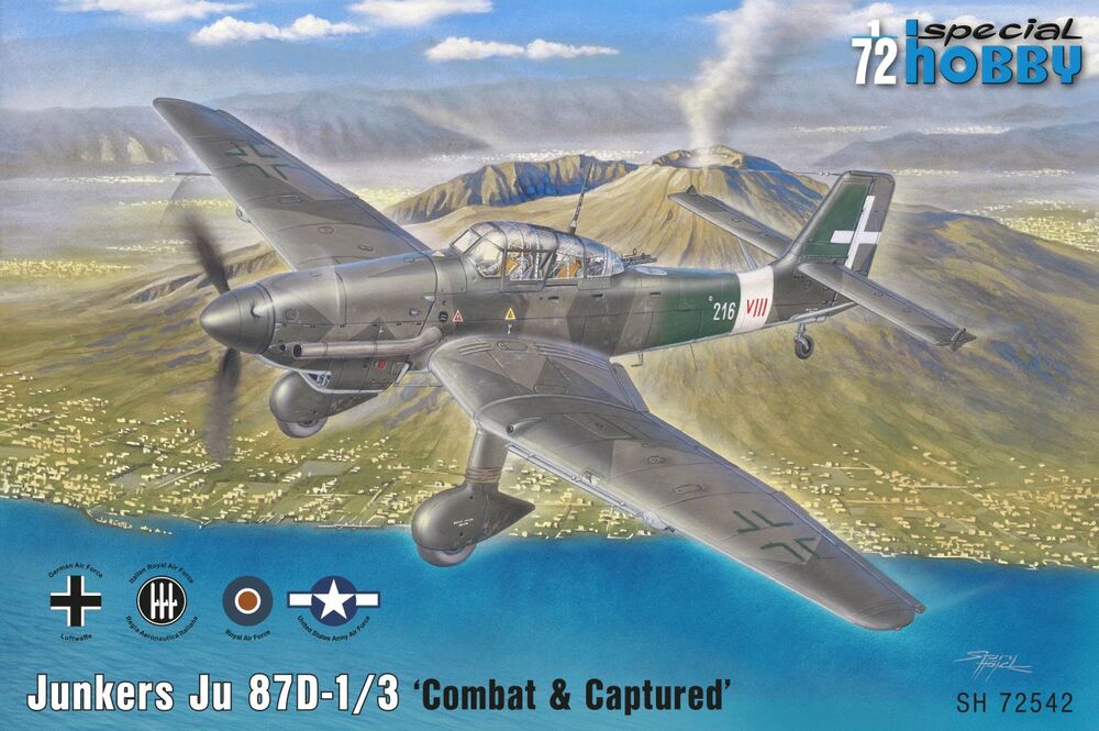 Junkers Ju 87D-1/3 'Combat & Captured'