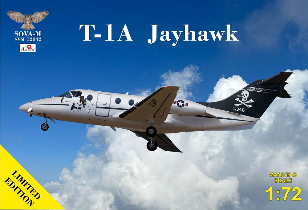 T-1A Jayhawk jet trainer (USAF)