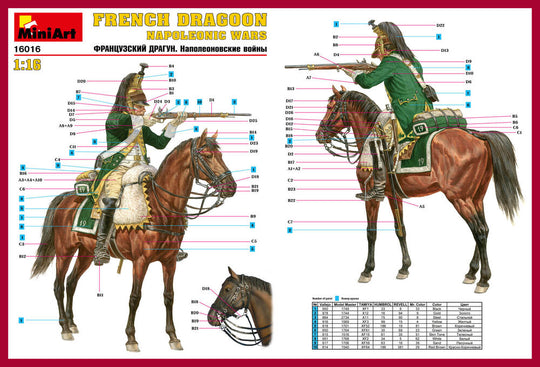 French Dragoon. Napoleonic Wars.