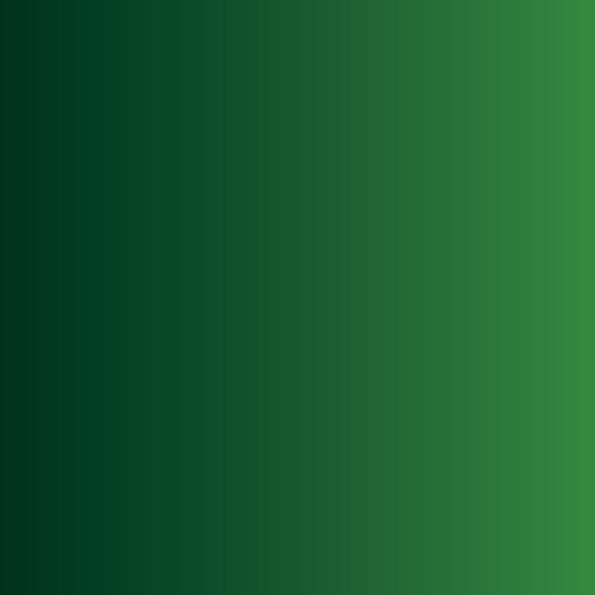 Xpress Color: Forest Green 18 ml