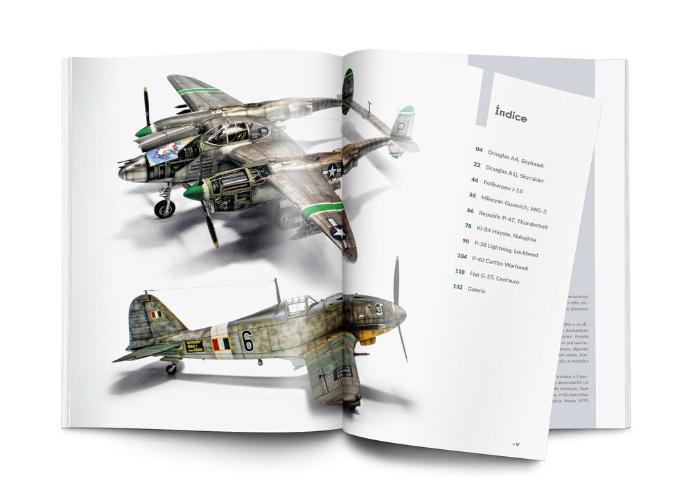 Weathering Effects on Aircraft Spanish