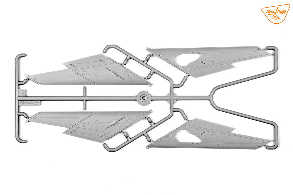 MiG-19P