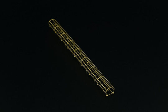 Safety cage ladders