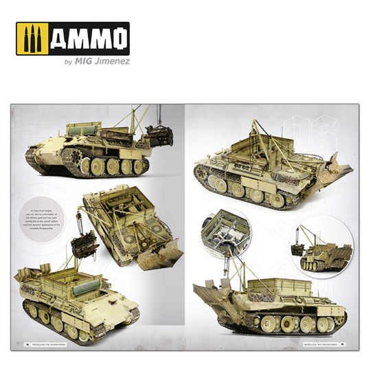 Panthers - Modeling the TAKOM Family (English)