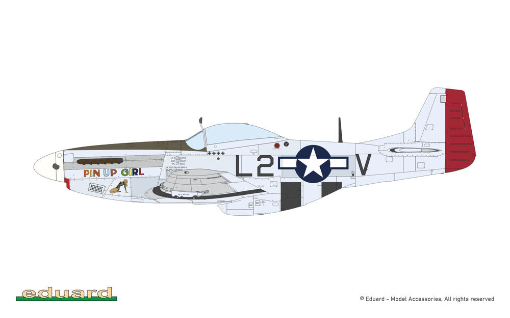 MIGHTY EIGHT: 65th Fighter Wing