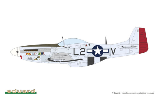 MIGHTY EIGHT: 65th Fighter Wing
