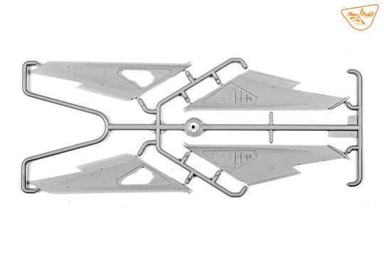 MiG-19P