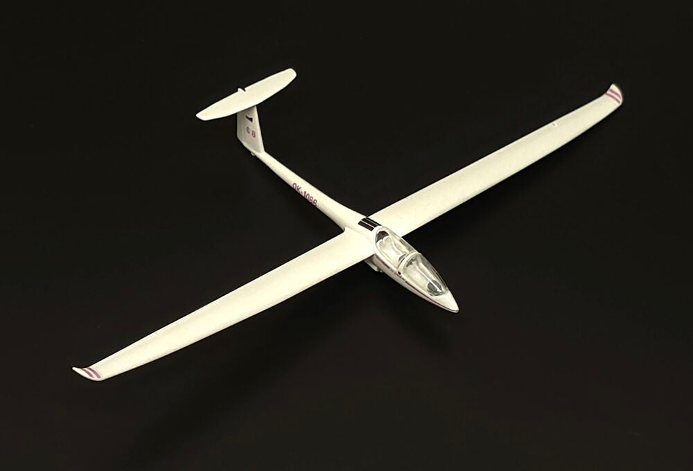 DG-1000 glider