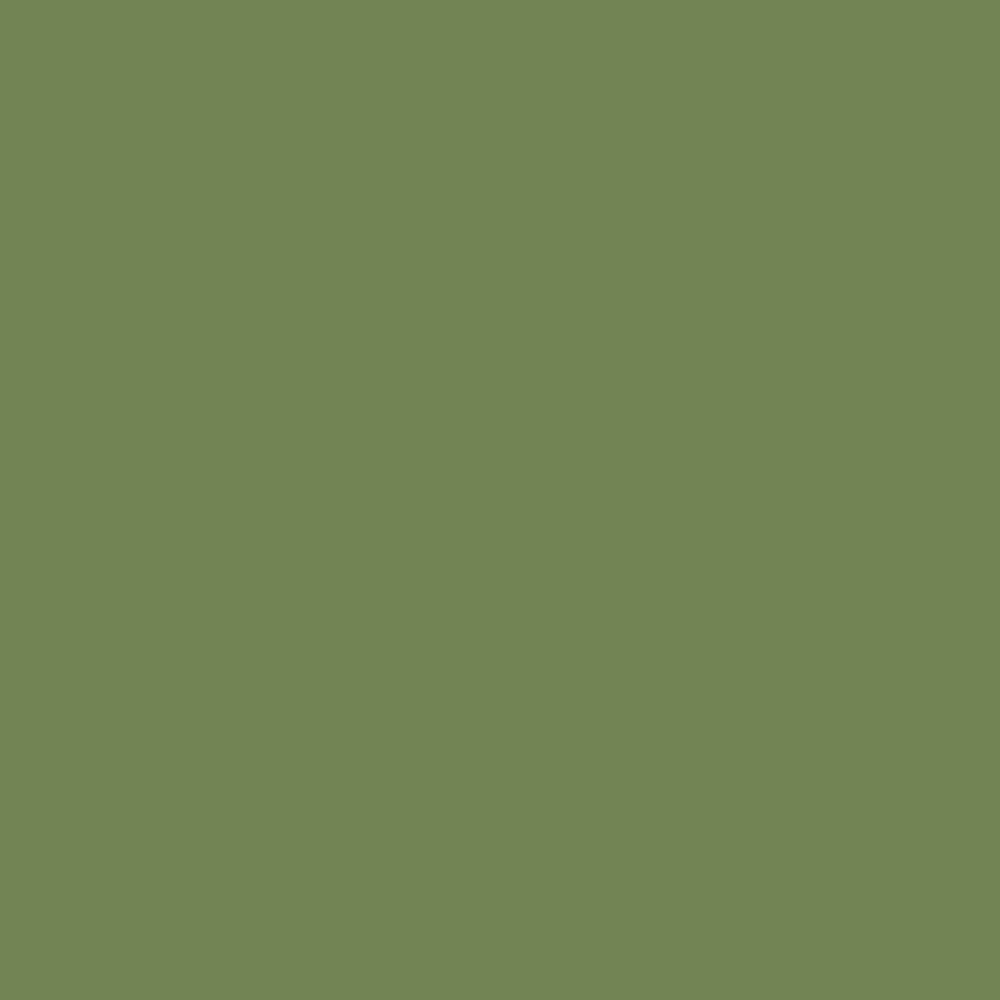 Model Air: Pale Green 18 ml
