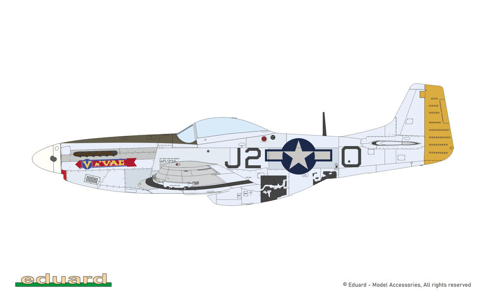 MIGHTY EIGHT: 65th Fighter Wing
