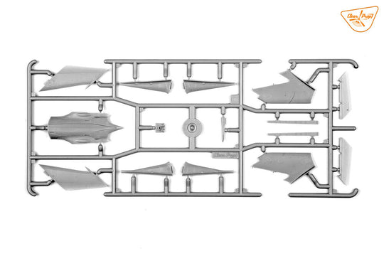 MiG-19P