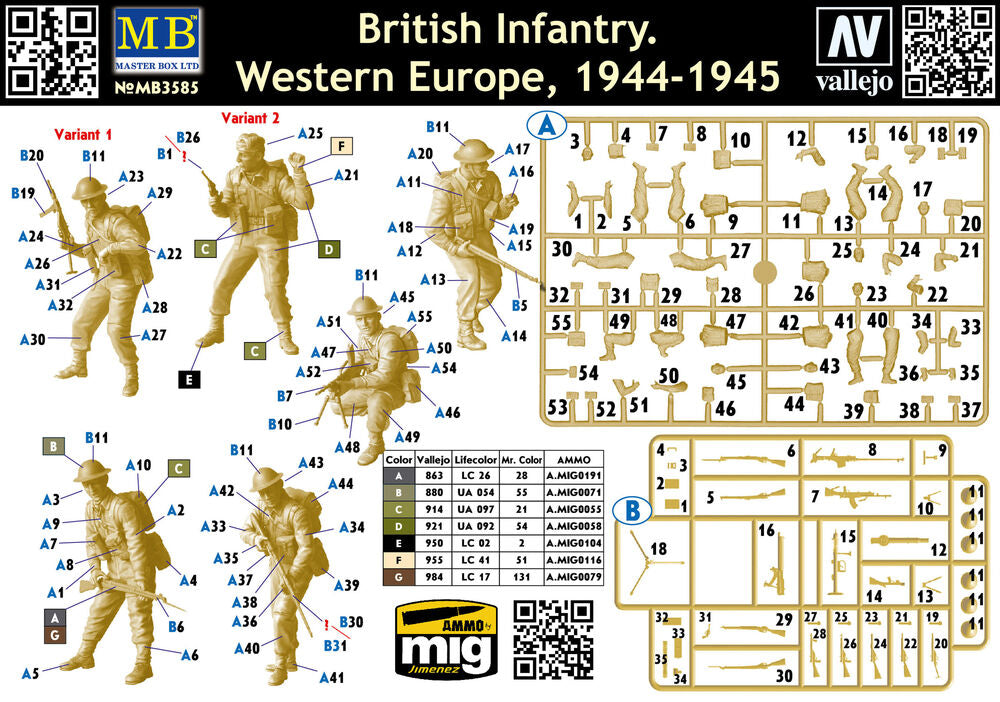 British Infantry. Western Europe. 1944-1945