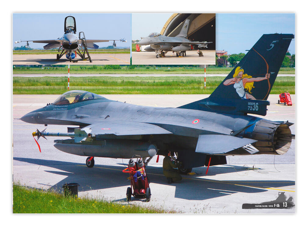 F-16 Fighting Falcon / VIPER - VISUAL MODELERS GUIDE (English, Castellano, Italiano)