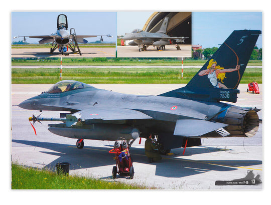 F-16 Fighting Falcon / VIPER - VISUAL MODELERS GUIDE (English, Castellano, Italiano)