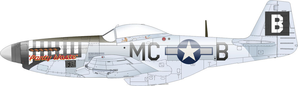 P-51D-5 8th AF   EDUARD