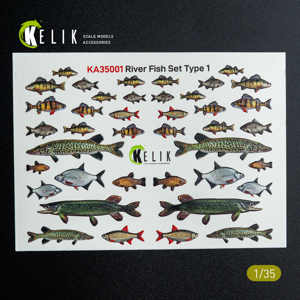 River Fish set Type 1 - 3D Decal for dioramas