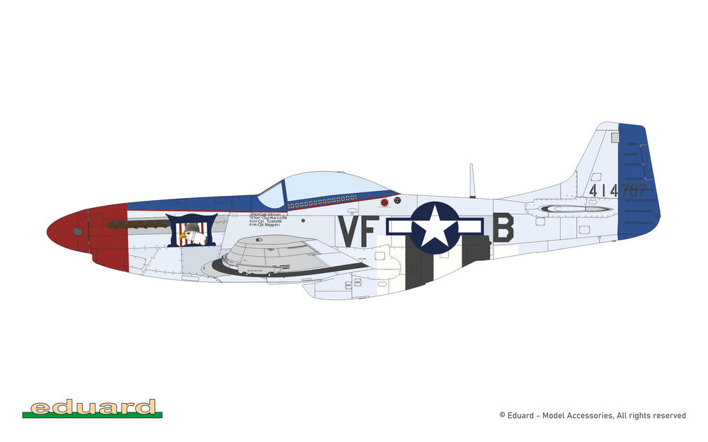 MIGHTY EIGHT: 65th Fighter Wing