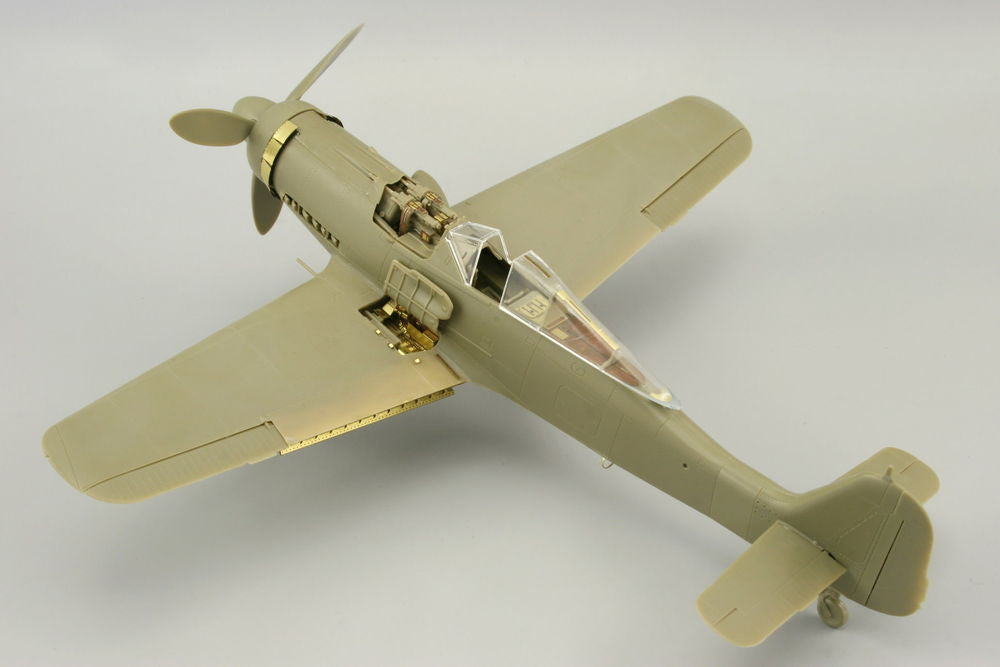 Fw 190D-9 für Eduard