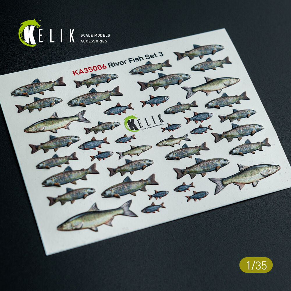 River Fish set Type 3 - 3D Decal for dioramas