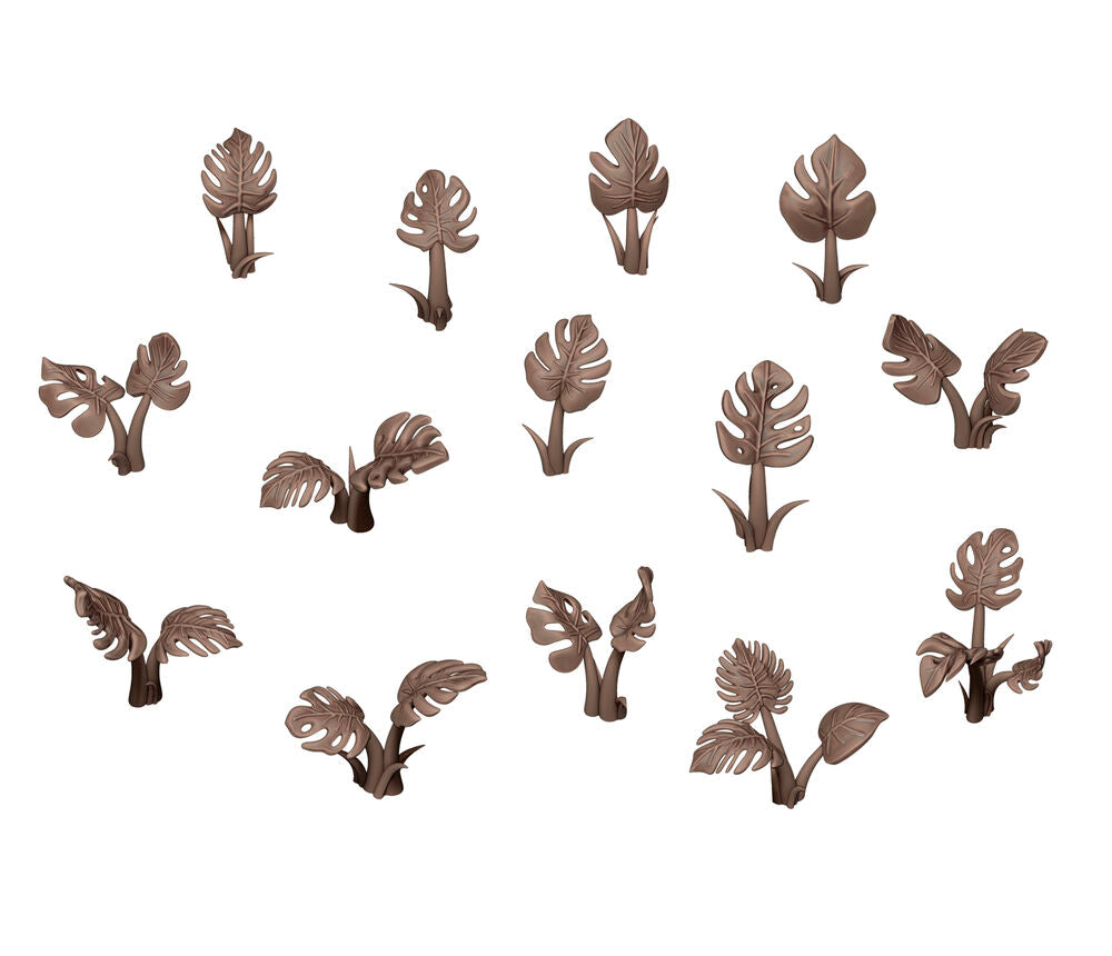 MONSTERA