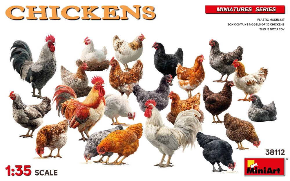 Chickens