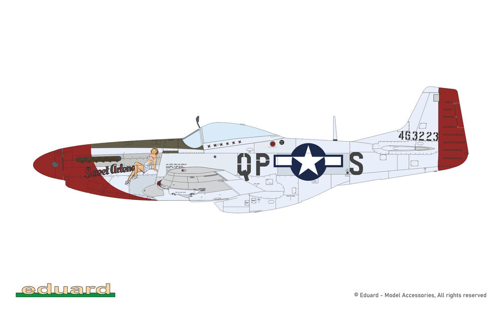 MIGHTY EIGHT: 65th Fighter Wing