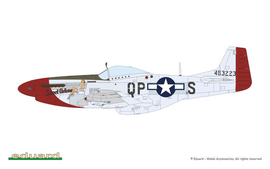 MIGHTY EIGHT: 65th Fighter Wing