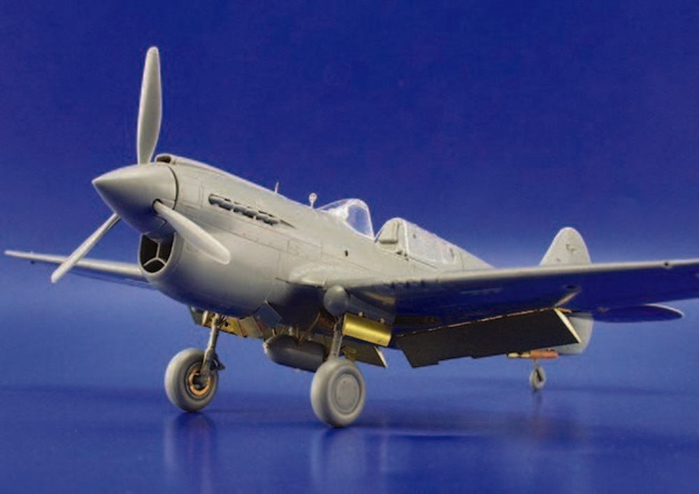 P-40E Warhawk für Hasegawa Bausatz