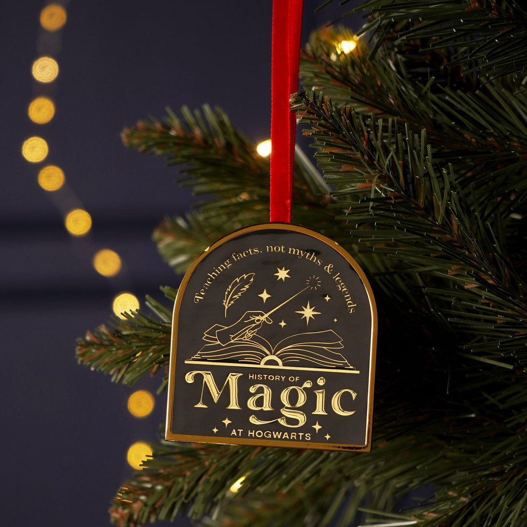 Harry Potter Alumni Metal Epoxy Hanging Dec - History of Magic