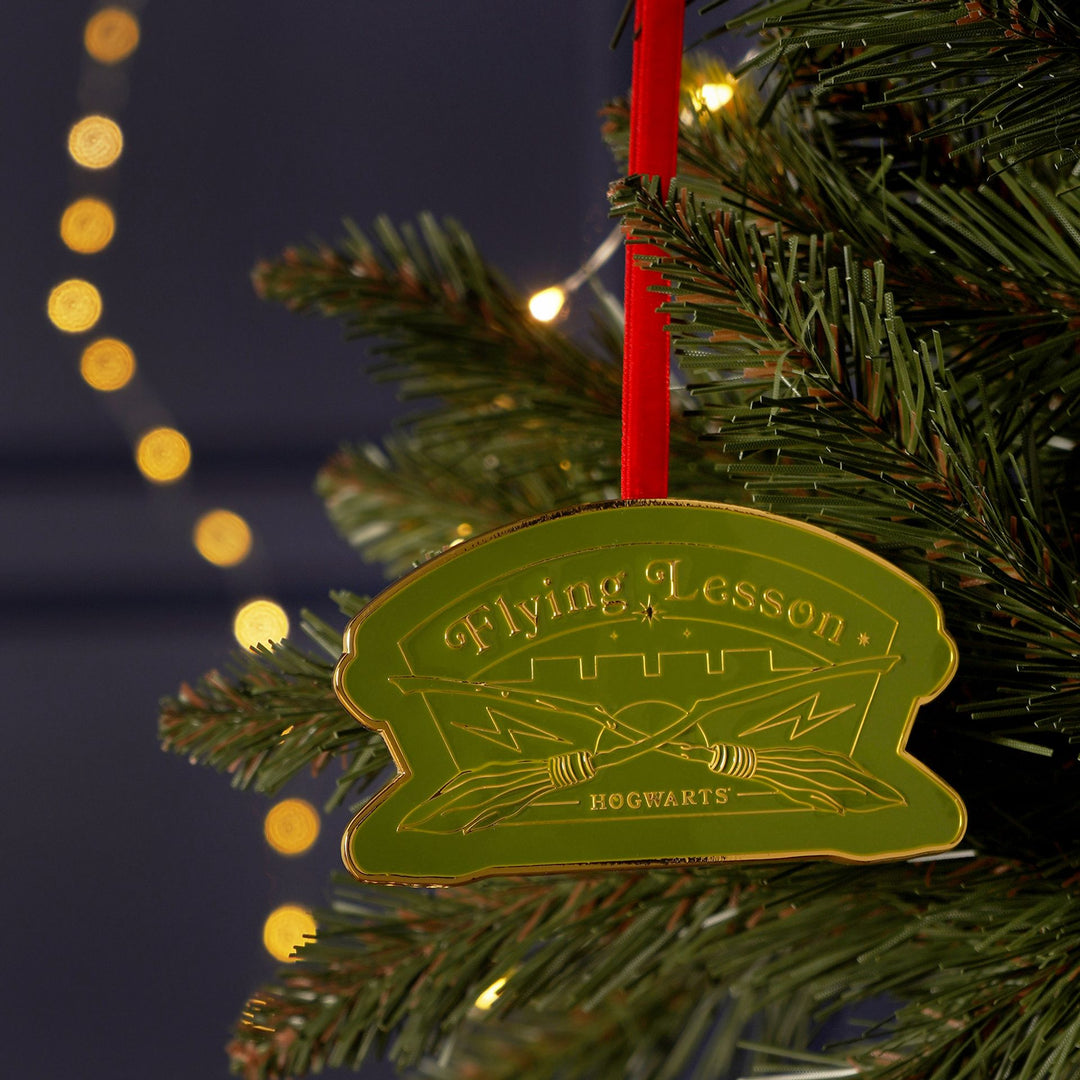 Harry Potter Alumni Metal Epoxy Hanging Dec - Flying Lessons