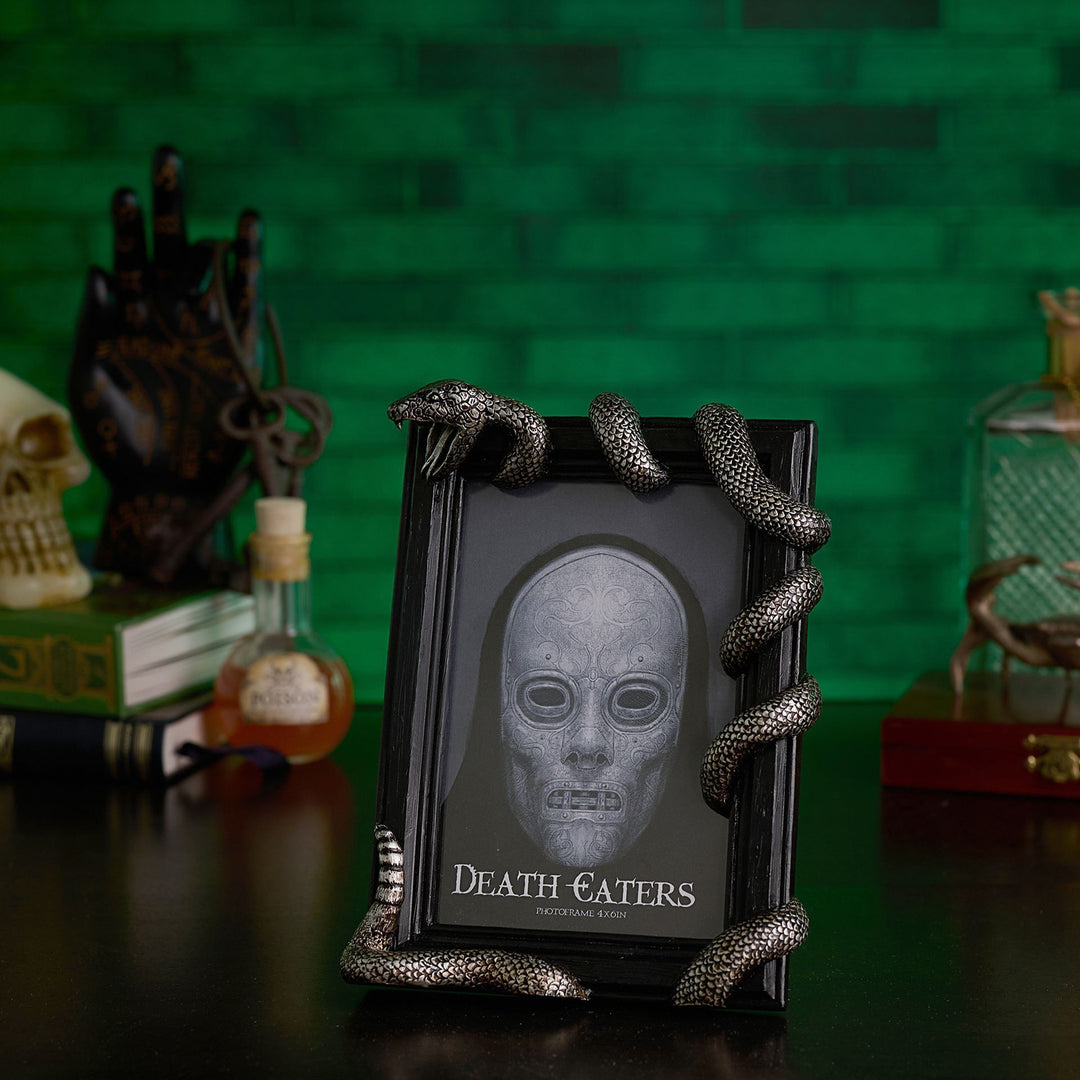 Warner Bros Harry Potter Dark Arts Frame - Nagini
