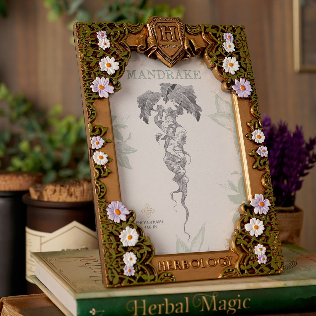 Warner Bros Harry Potter Herbology Frame