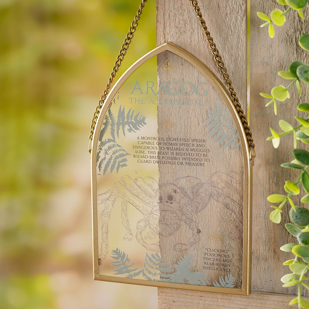 Warner Bros Harry Potter Herbology Arch Plaque - Aragog