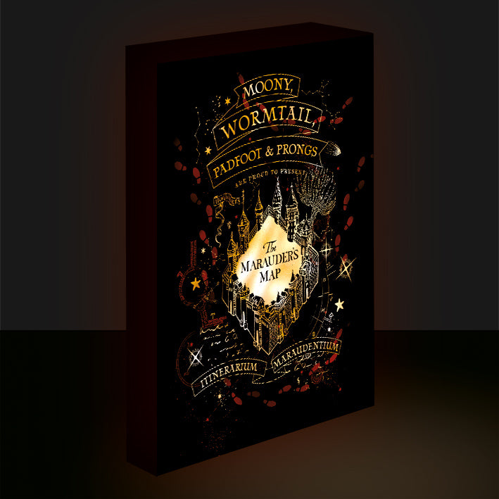 HARRY POTTER - Marauders Map - Light Canvas 40X30 Cm