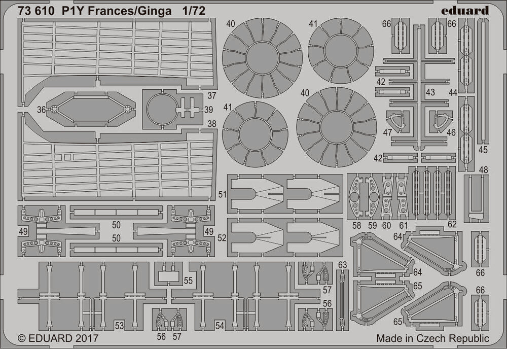 P1Y Frances/Ginga for Hasegawa