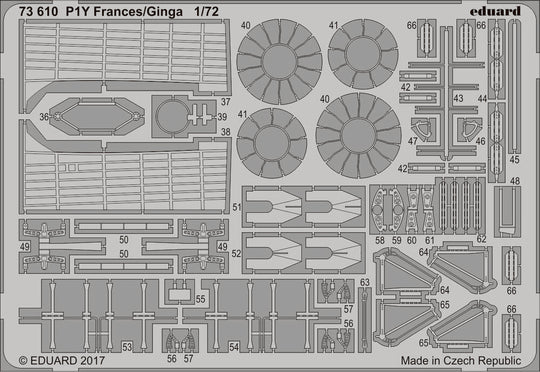 P1Y Frances/Ginga for Hasegawa
