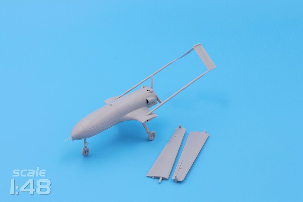 An-196 Liutyi deep-strike UAV (1/48)