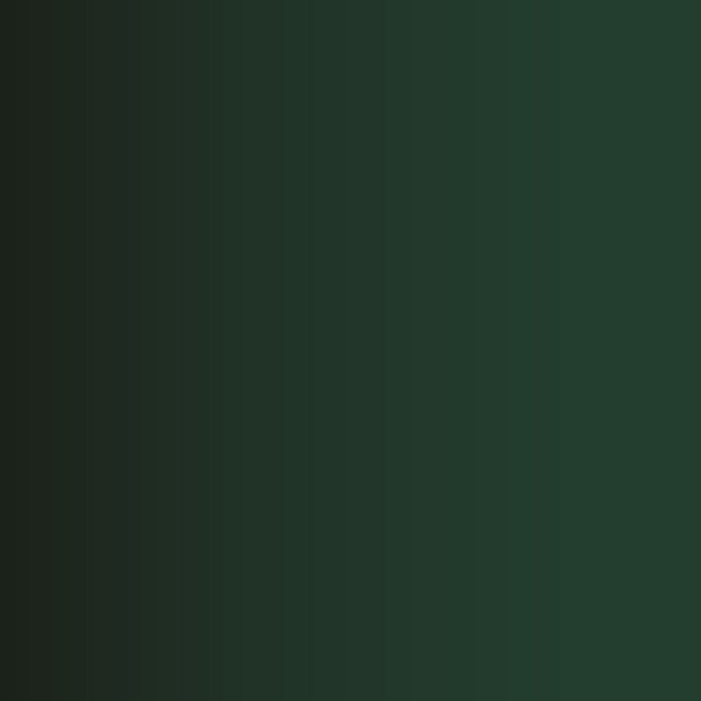 Xpress Color: Lizard Green 18 ml