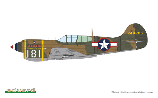 P-40K short tail