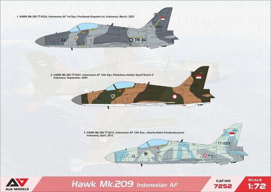Hawk 209 light fighter (IDN)