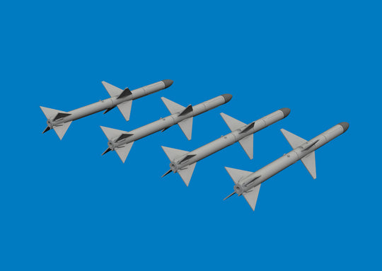 AIM-7M PRINT