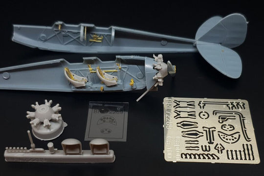Caproni Ca.100
