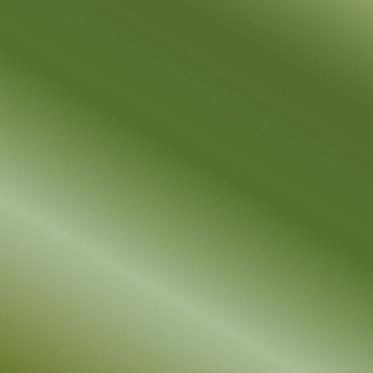 True Metallic Metal: Amber Green 18 ml