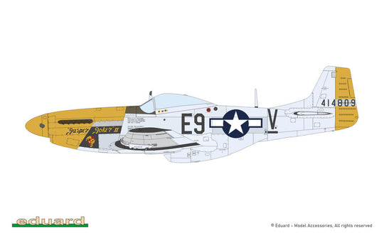 MIGHTY EIGHT: 65th Fighter Wing