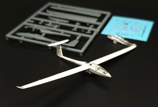 DG-1000 glider