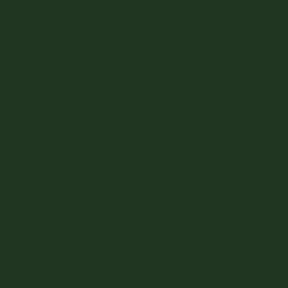 Game Air: Dark Green 18 ml