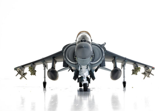 McDonnell Douglas AV-8B+ Harrier II - 165001/01 - VMA-214 'Black Sheep'