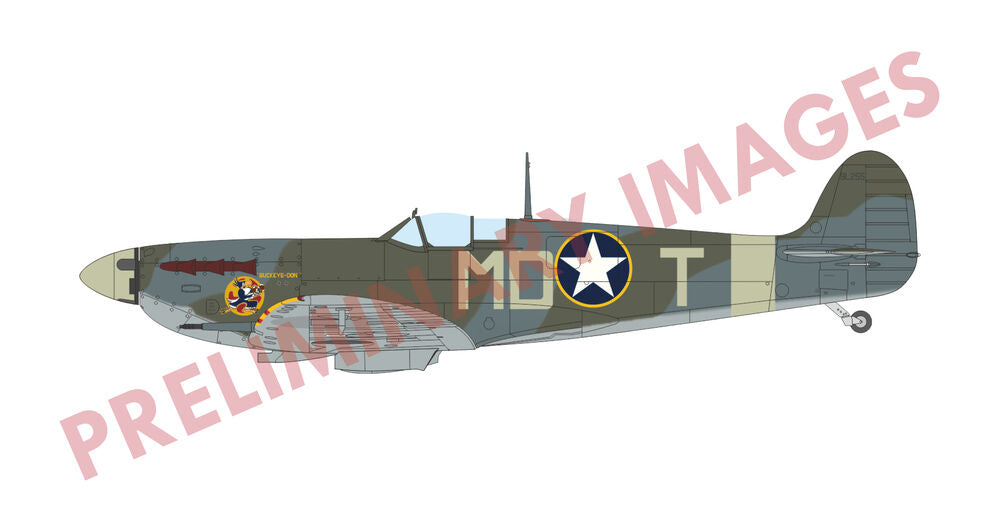 Spitfire Mk.Vb mid