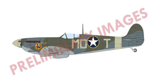 Spitfire Mk.Vb mid