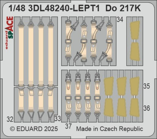 Do 217K SPACE  ICM